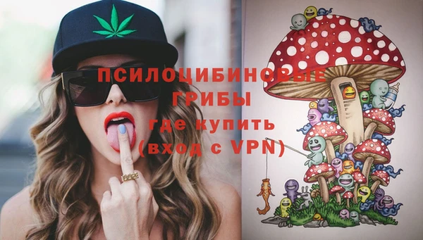 ешки Богданович