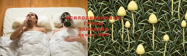 трава Бородино
